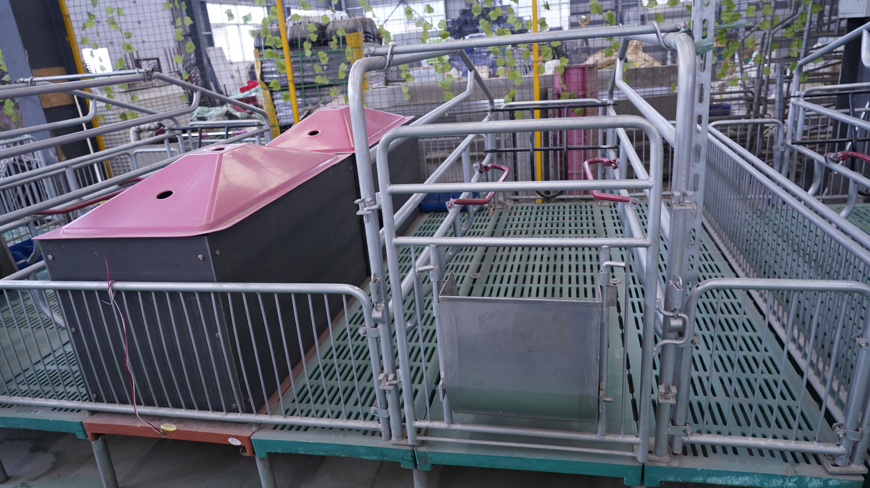 母豬產(chǎn)床使用保溫產(chǎn)品有何作用？