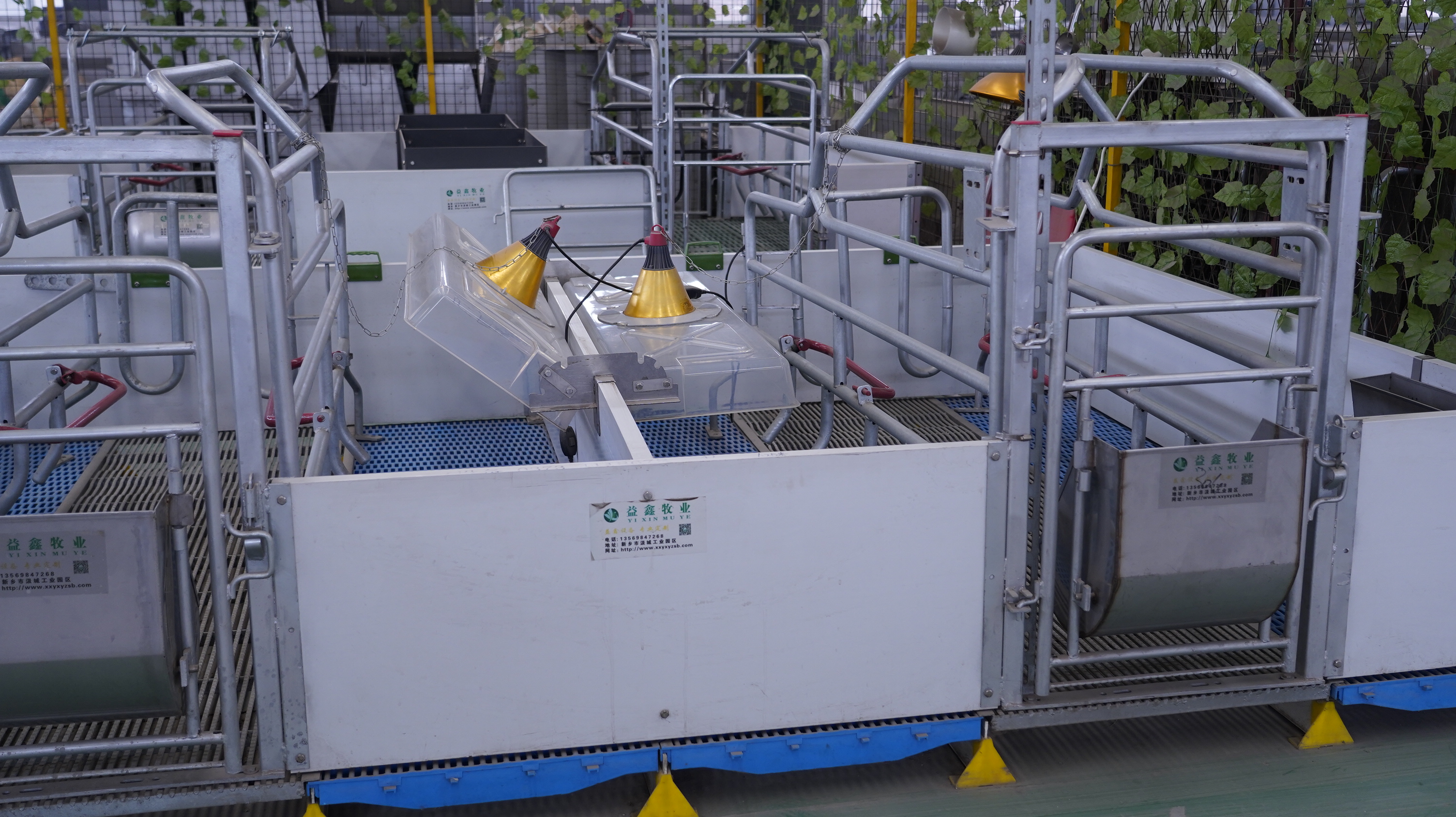 如何選擇合適的母豬產(chǎn)床？