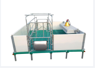 關(guān)于母豬產(chǎn)床你了解多少？